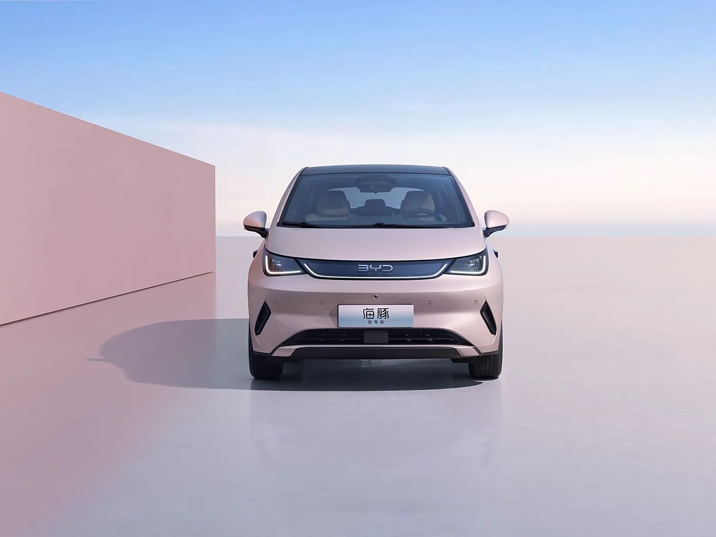 BYD Dolphin Şəhər Style Mini Electric Hatchback Moda Edition Smart Technology yeni enerji vasitəsi ilə