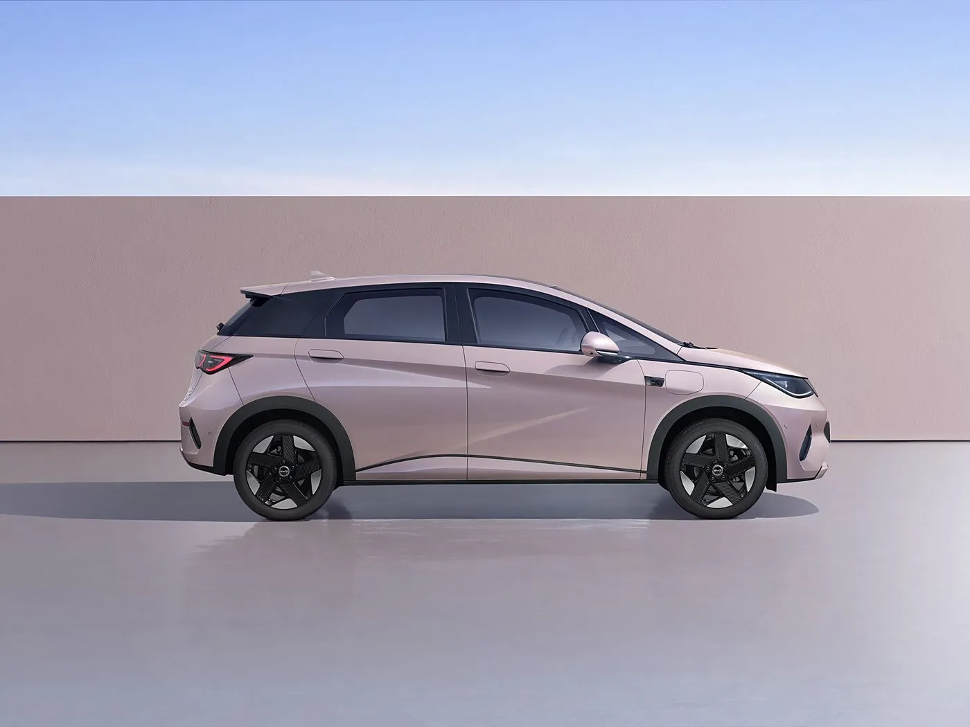 BYD Dolphin Şəhər Style Mini Electric Hatchback Moda Edition Smart Technology yeni enerji vasitəsi ilə