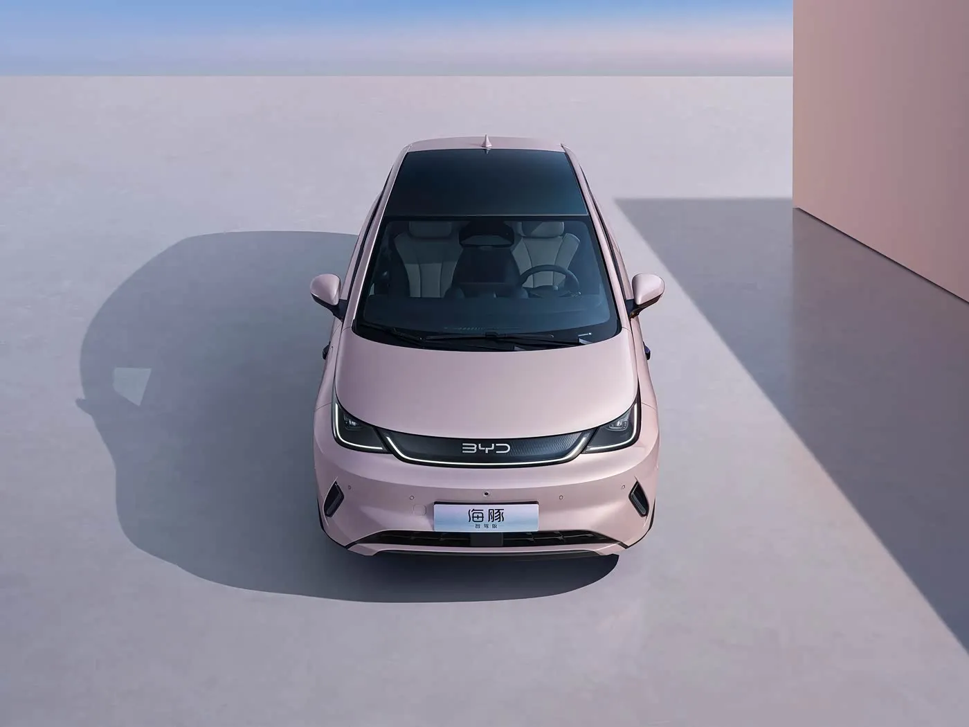 BYD Dolphin Şəhər Style Mini Electric Hatchback Moda Edition Smart Technology yeni enerji vasitəsi ilə