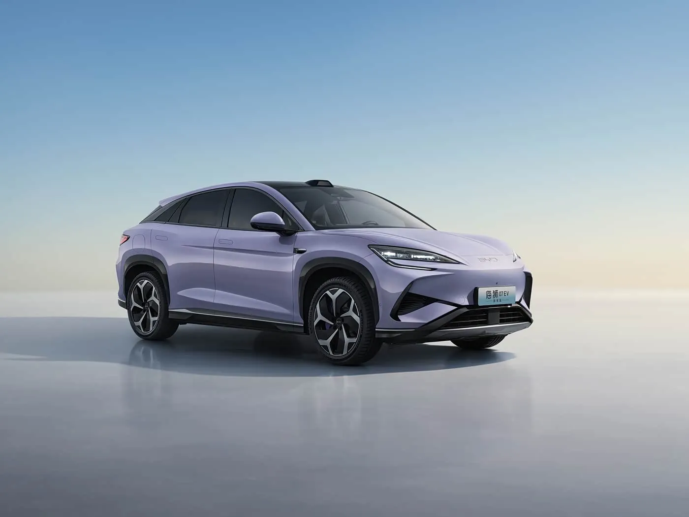 Byd dəniz aslanı 07 dm-i inkişaf etmiş phev uzun rangde qabaqcıl sürücü köməyi